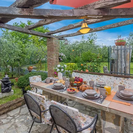 Marija Franko Sunny - A2